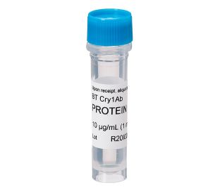 Cry Protein, Cry1Ab, 10 ug