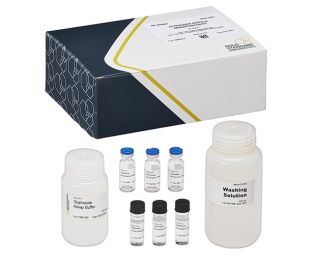 Glyphosate, Derivatization Kit, Magnetic Particle ELISA