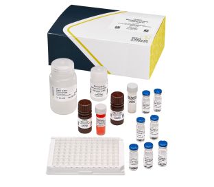 Microcystins/Nodularins (ADDA) (EPA ETV) (EPA Method 546), ELISA, 96 tests