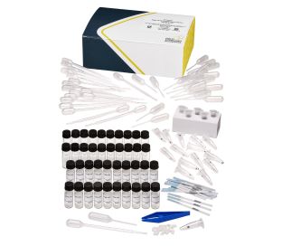 Cylindrospermopsin, 0-10 ppb, with QuikLyse Feature, Dipstick, Source Drinking Water 20 tests