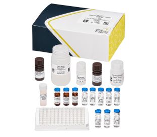 Cylindrospermopsin, ELISA, 96 tests