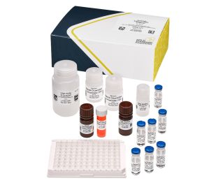 Saxitoxins (PSP) (EC 2002/225 Compliant), ELISA, 96 tests