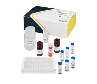 Saxitoxins (PSP) Shipboard, ELISA 96 tests