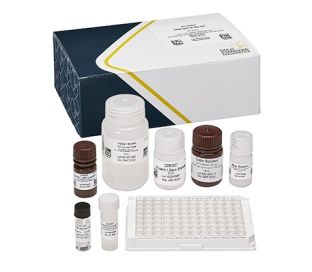 DDE/DDT, ELISA, 96 tests