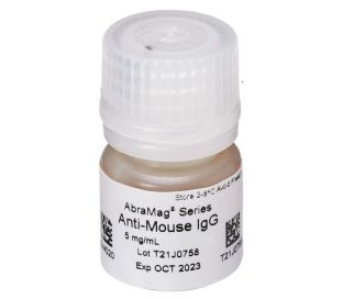 AbraMag anti-Mouse Magnetic Beads, 4 mL, 5 mg/mL