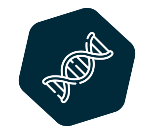 INgene® q C. fetus and T. foetus MULTIPLEX