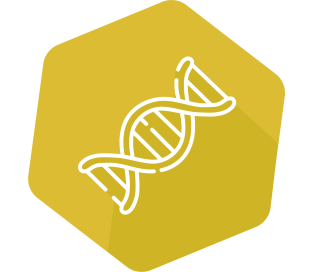 INgene® q Borrelia burgdorferi