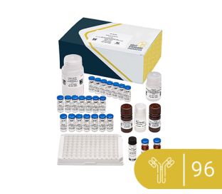 Patulin 1X6 ELISA 96-test