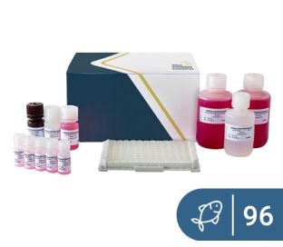 SENSISpec ELISA Fish (Parvalbumin) 96 Wells