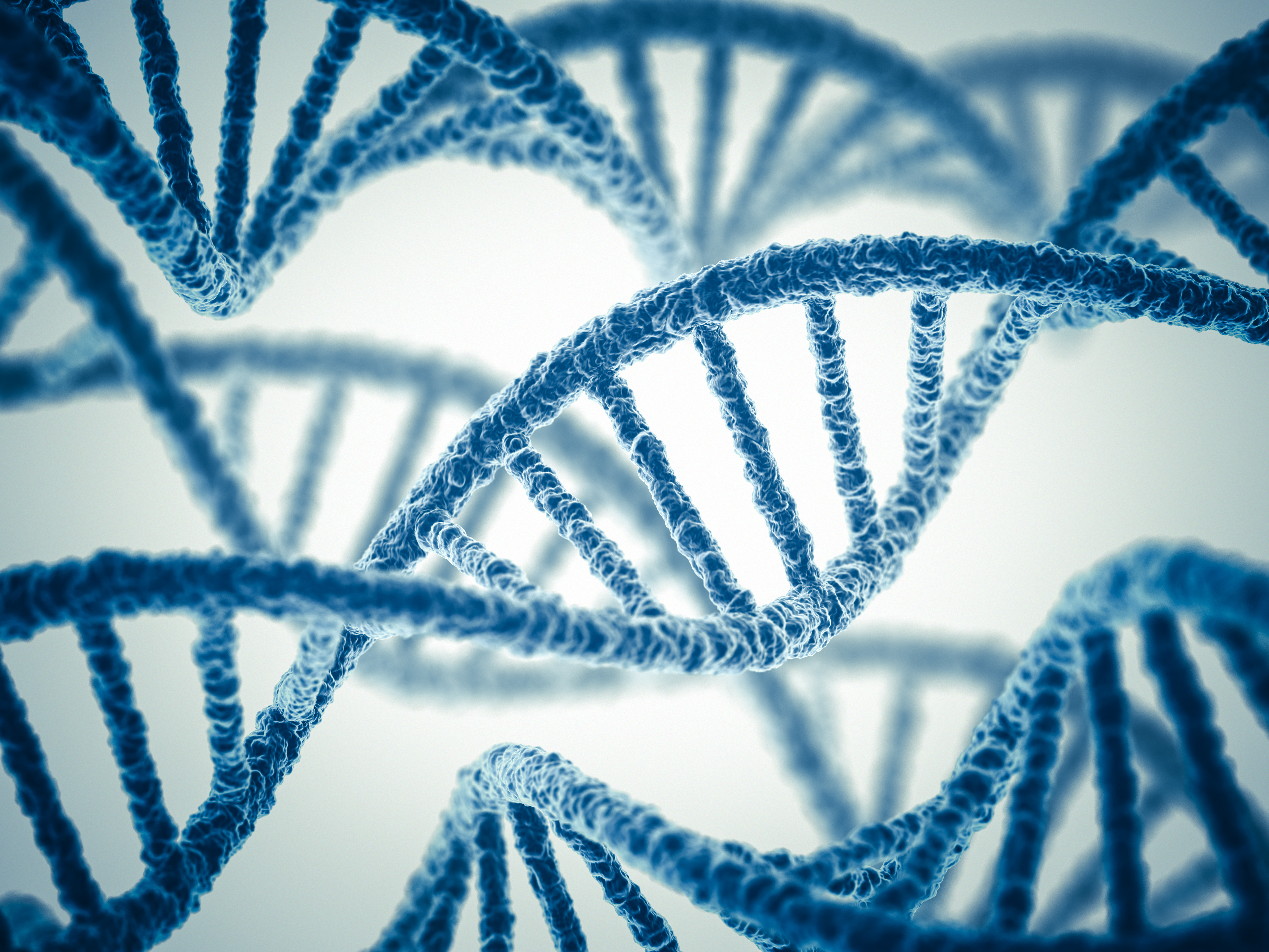 How to detect your target DNA for GMO analysis in food and feed