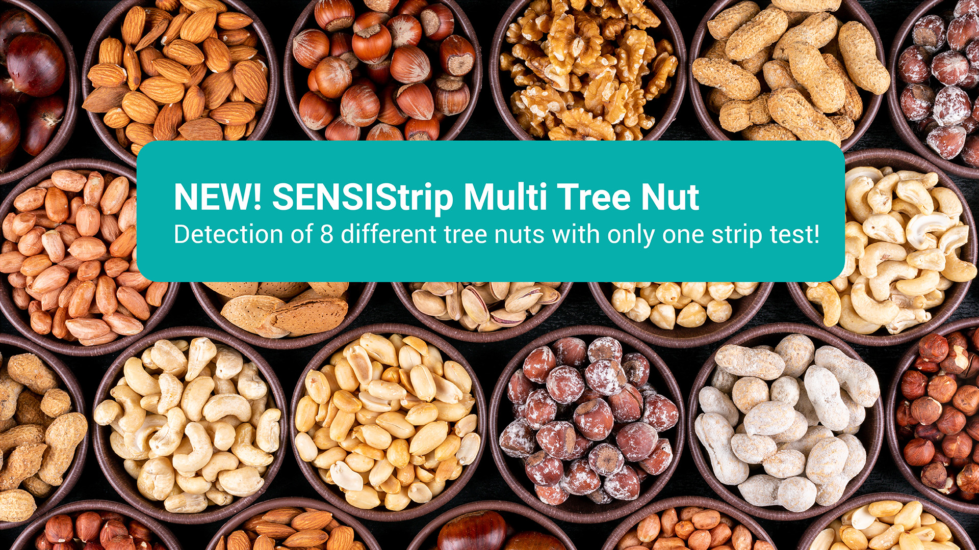 New rapid test! SENSIStrip Multi Tree Nut, a highly sensitive system capable to detect residues of 8 different tree nuts 