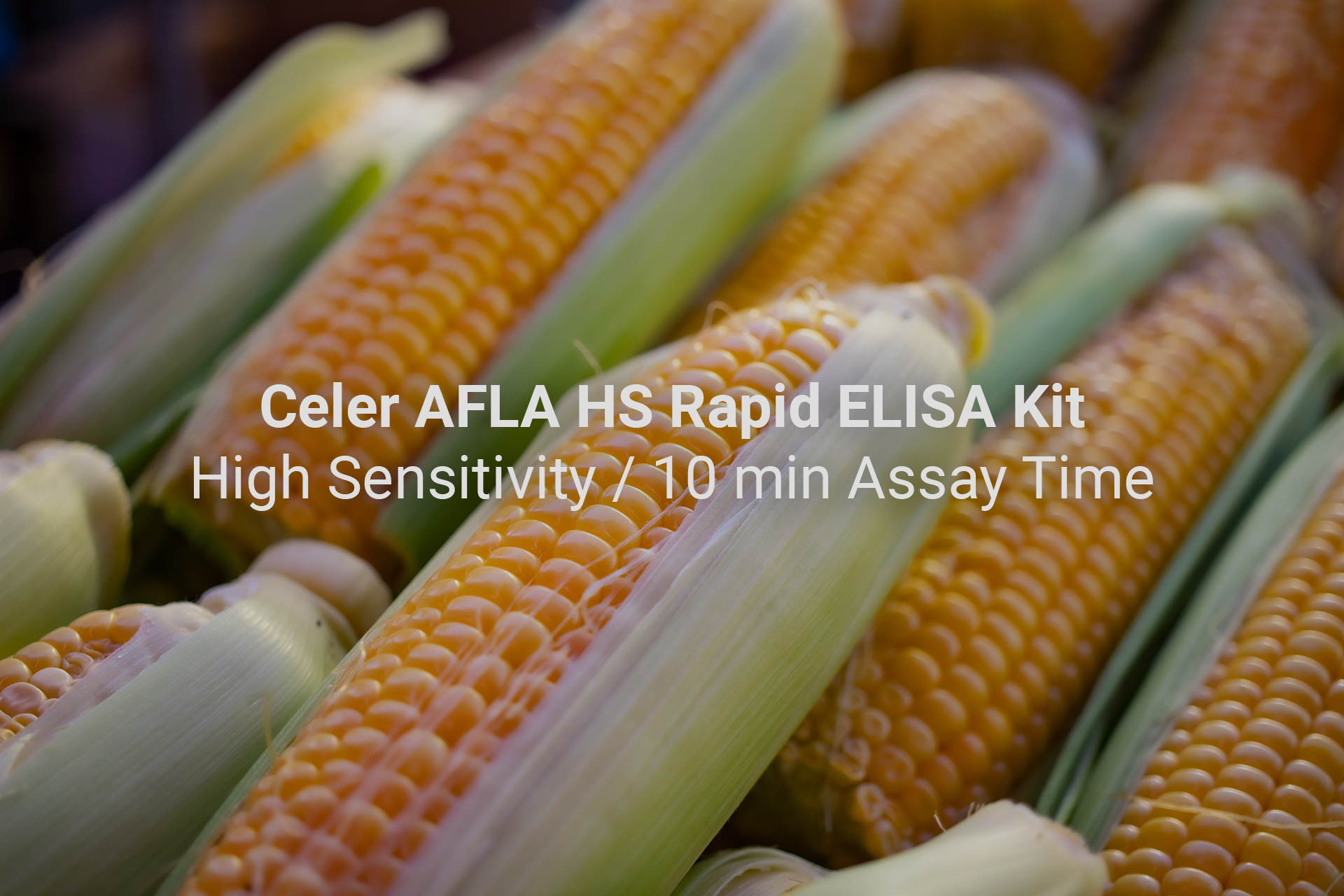 Launch of Celer AFLA HS, a new rapid ELISA test kit for total aflatoxins detection