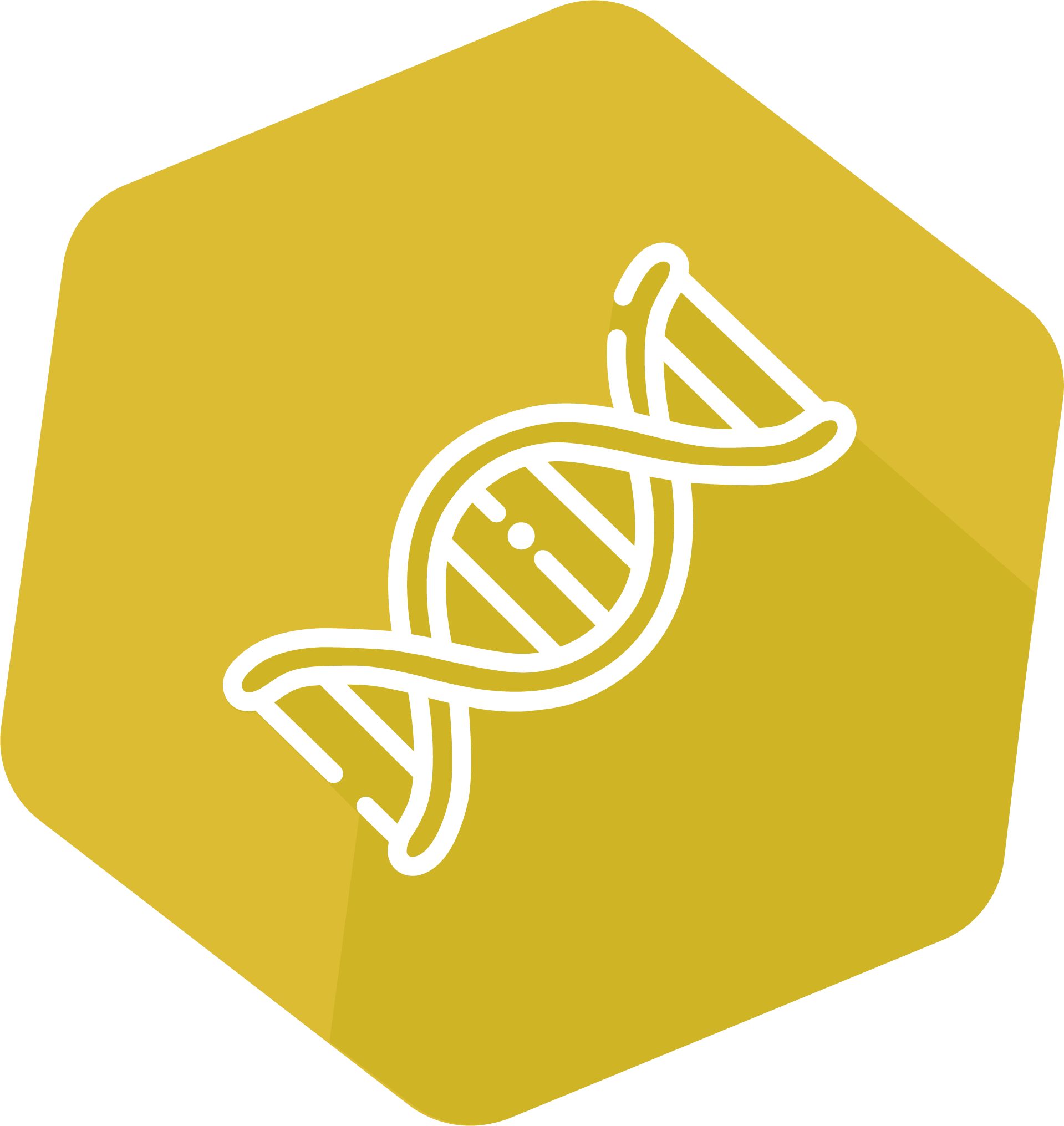 PCR icon