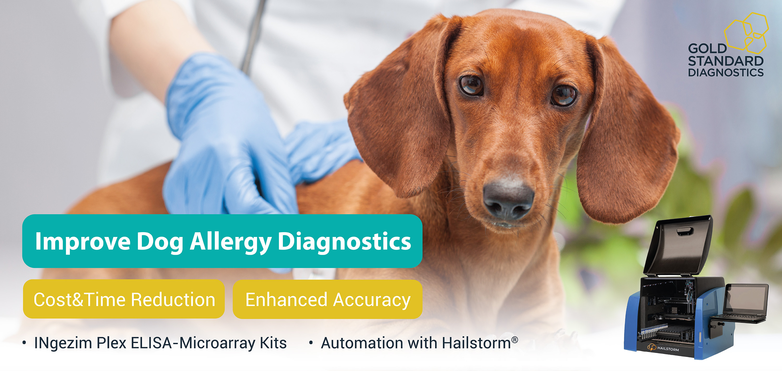 Reduce costs and improve accuracy in canine allergy diagnostics, applying a solution including INgezim PLEX reagents and automation with Hailstorm! 